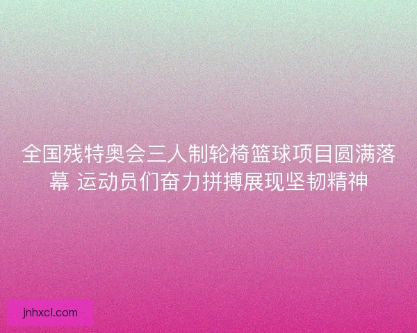 全国残特奥会三人制轮椅篮球项目圆满落幕 运动员们奋力拼搏展现坚韧精神